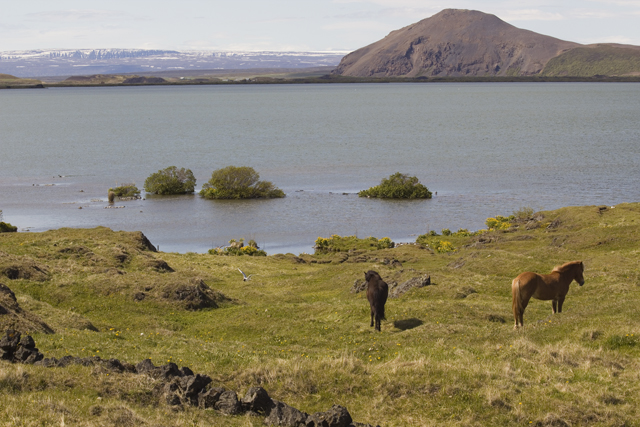 2011-07-02_11-55-11 island.jpg - m Myvatn